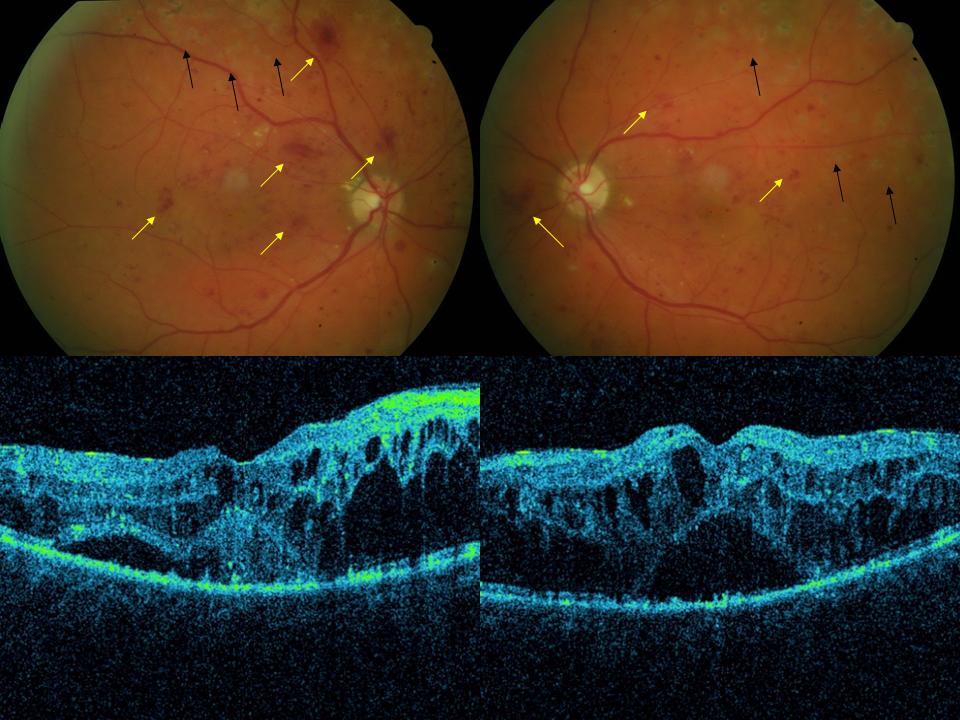 diapositiva1